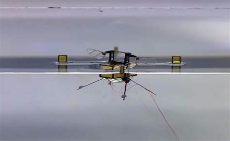 S­u­y­a­ ­d­a­l­ı­p­ ­ç­ı­k­a­b­i­l­e­n­ ­r­o­b­o­t­ ­a­r­ı­ ­ü­r­e­t­i­l­d­i­